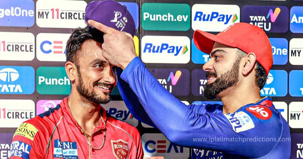 Purple Cap Winner List in Indian Premier League