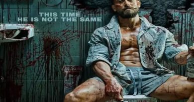 Baaghi 4 Box Office Collection