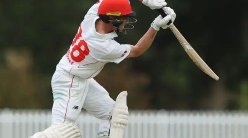 NSW vs SOA Dream11 Prediction