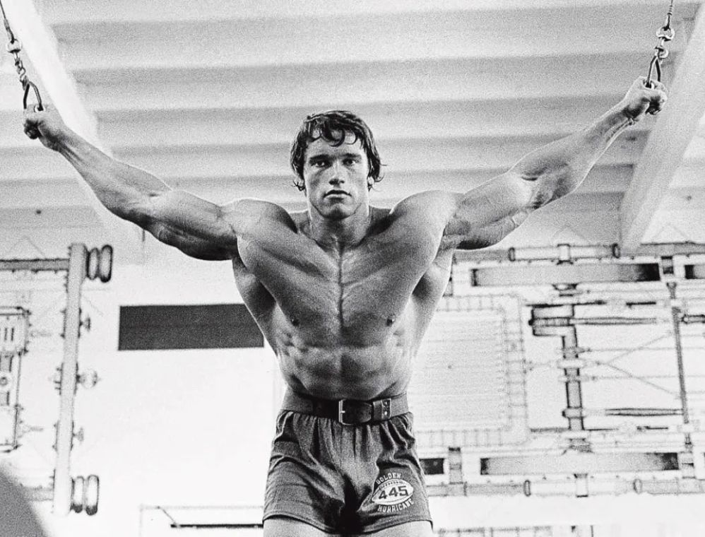 Arnold Schwarzenegger Biography, Age, Height, Family, Career, Net Worth & More
