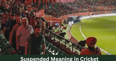 Suspended Meaning in Cricket
