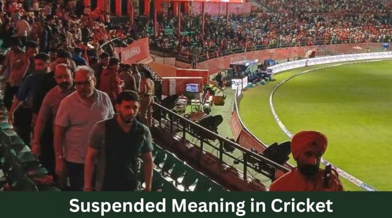 Suspended Meaning in Cricket