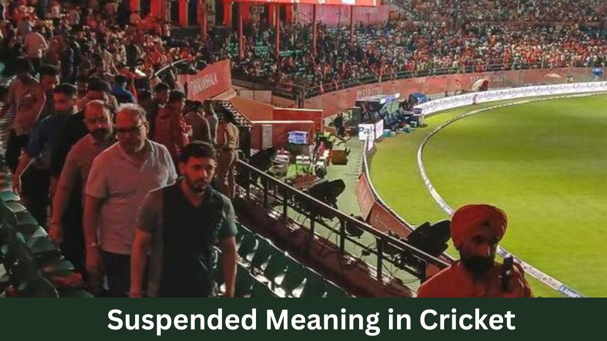 Suspended Meaning in Cricket: What Does it Mean and Why Does it Happen?