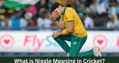 What is Niggle Meaning in Cricket