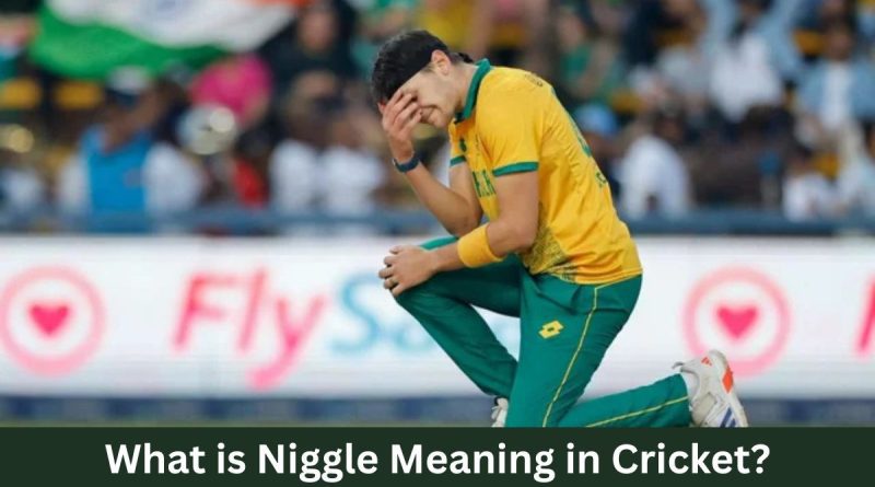 What is Niggle Meaning in Cricket